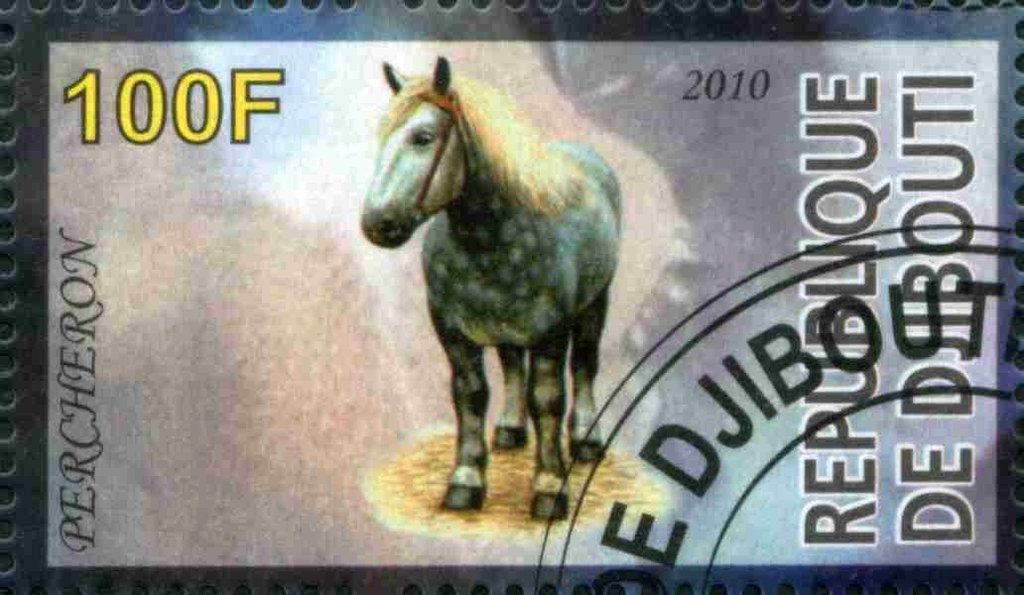 Percheron