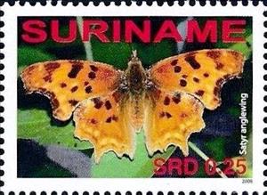 Stamp, Satyr Comma (Polygonia satyrus), Suriname,  , Animals (Fauna), Butterflies, Insects
