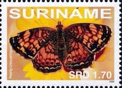 Pearl Crescent (Phyciodes tharos)