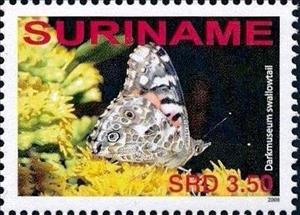 Stamp, Darkmuseum Swallowtail (Papilio sp.), Suriname,  , Animals (Fauna), Butterflies, Insects