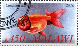 Stamp, Carassius auratus, Cinderellas,  