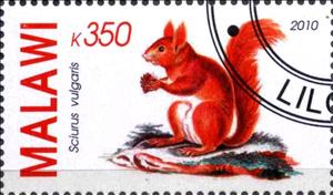 Stamp, Sciurus vulgaris, Cinderellas,  
