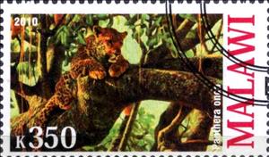 Stamp, Panthera onca, Cinderellas,  