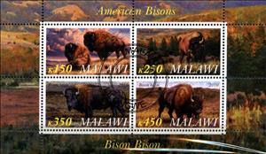 Mini Sheet, American Bisons, Cinderellas,  