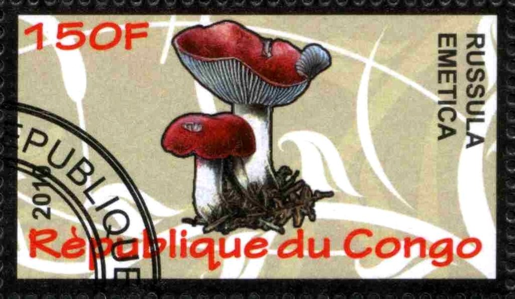Russula emetica