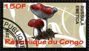 Stamp, Russula emetica, Cinderellas,  , Mushrooms