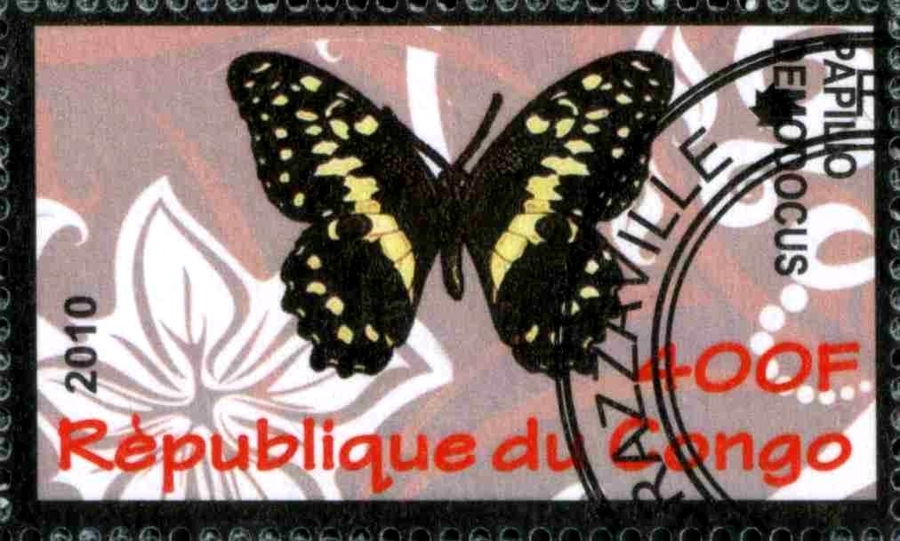 Papilio demodocus