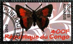Stamp, Scoptes alphaeus, Cinderellas,  , Butterflies