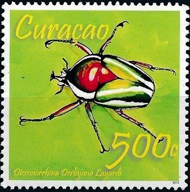 Dicronorrhina layardi