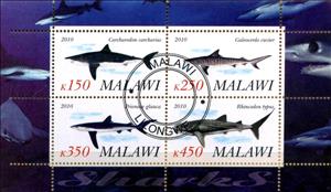 Mini Sheet, Sharks, Cinderellas,  , Sharks