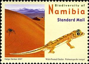 Stamp, Web-footed Gecko (Palmatogecko rangei), Namibia,  , Animals (Fauna), Deserts, Lizards, Reptiles