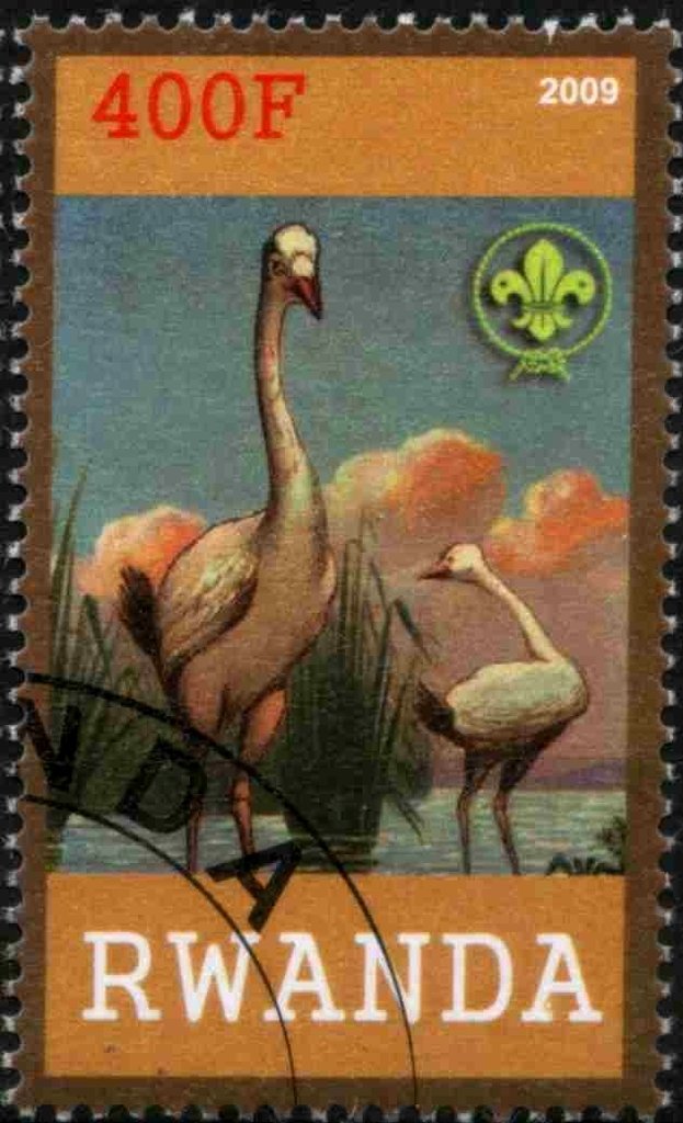 Fauna