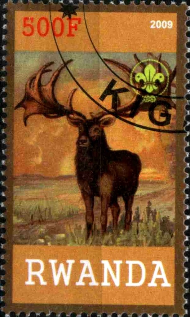 Fauna