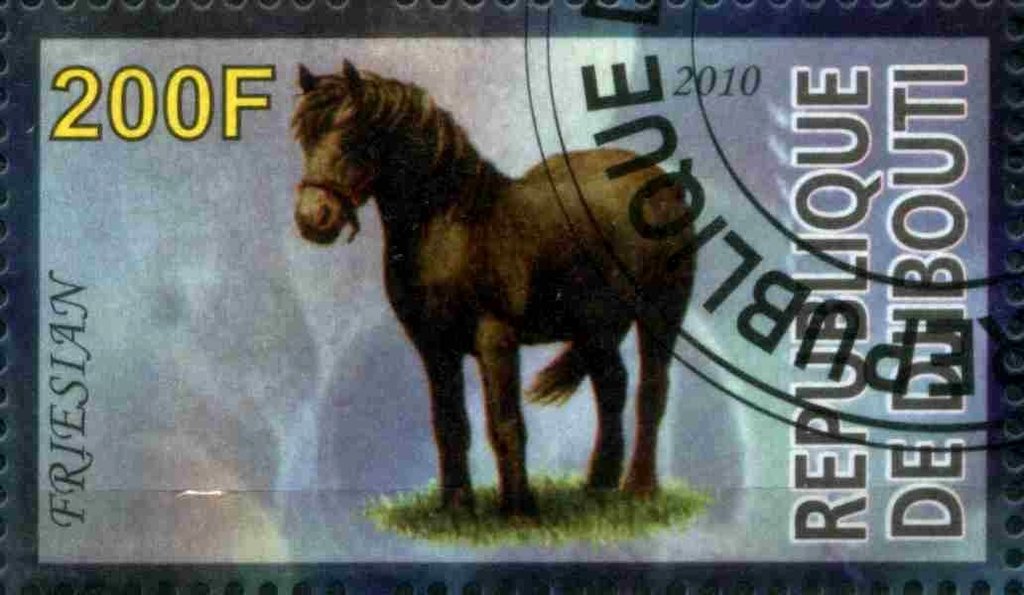 Friesian
