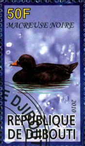 Stamp, Macreuse Noire, Cinderellas,  , Birds