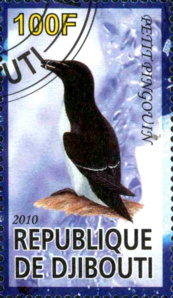 Petit Pingouin