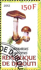 Stamp, Cortinarius claucopus, Cinderellas,  , Mushrooms
