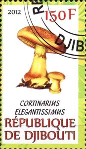 Stamp, Cortinarius elegantissimus, Cinderellas,  , Mushrooms