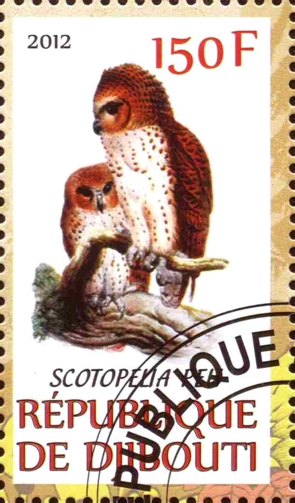 Scotopelia