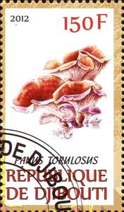 Stamp, Panus torulosus, Cinderellas,  , Mushrooms