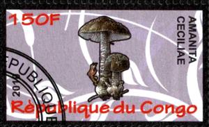 Stamp, Amanita ceciliae, Cinderellas,  , Mushrooms