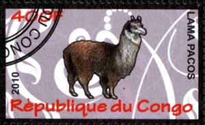 Stamp, Lama pacos, Cinderellas,  