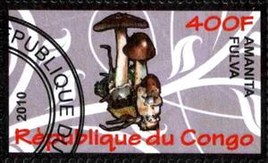 Stamp, Amanita fulva, Cinderellas,  , Mushrooms