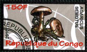 Stamp, Agaricus semotus, Cinderellas,  , Mushrooms