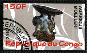 Stamp, Agacirus moelleri, Cinderellas,  , Mushrooms