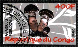 Stamp, Agaricus pseudovillaticus, Cinderellas,  , Mushrooms