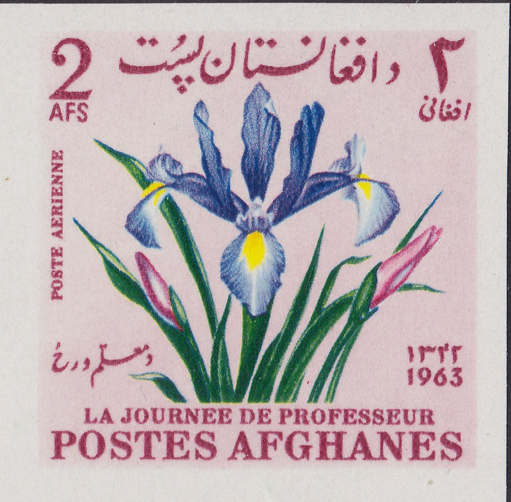 Iris