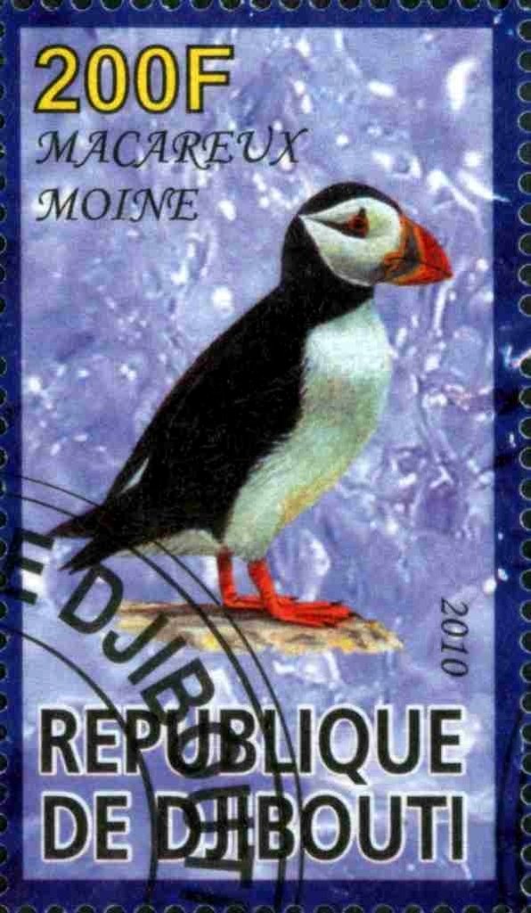 Macareux Moine