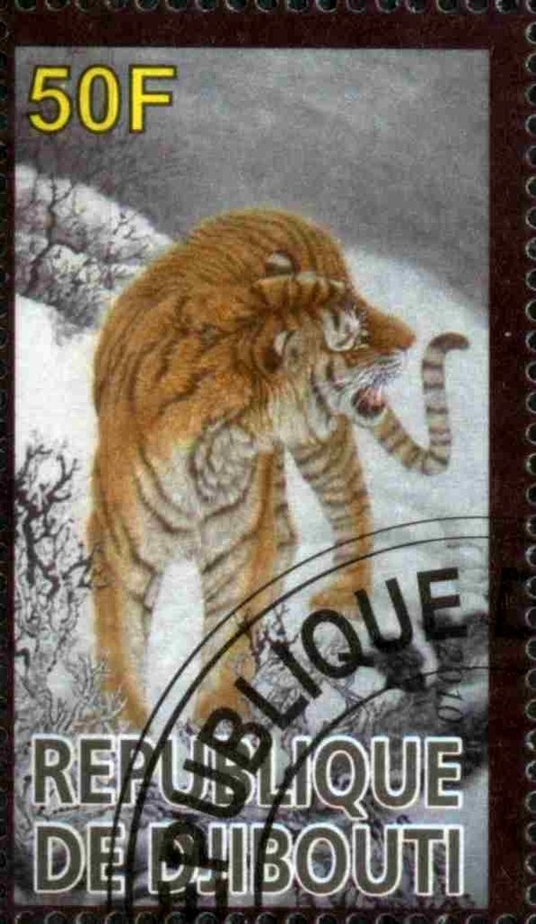 Tiger