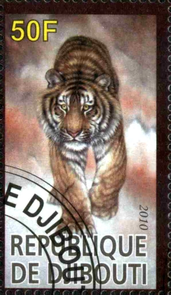 Tiger