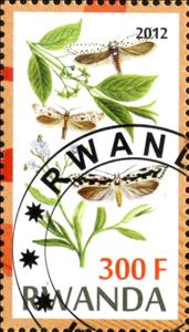 Stamp, Butterflies and Plants, Cinderellas,  , Butterflies