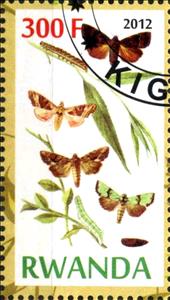 Stamp, Butterflies and Plants, Cinderellas,  , Butterflies