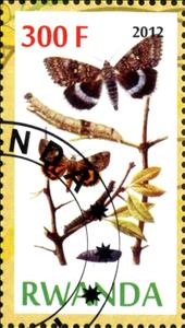 Stamp, Butterflies and Plants, Cinderellas,  , Butterflies