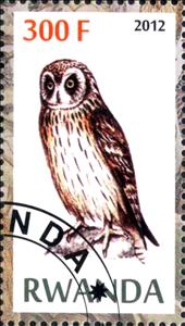 Stamp, Owls, Cinderellas,  , Birds, Owls