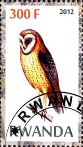 Stamp, Owls, Cinderellas,  , Birds, Owls