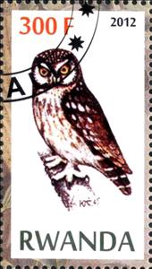 Stamp, Owls, Cinderellas,  , Birds, Owls