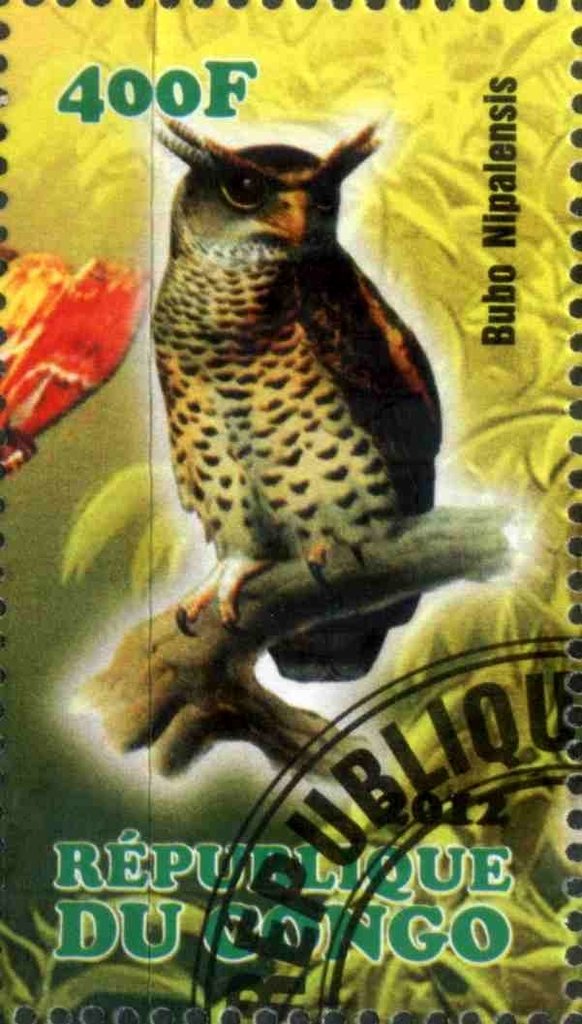 Bubo Nipalensis