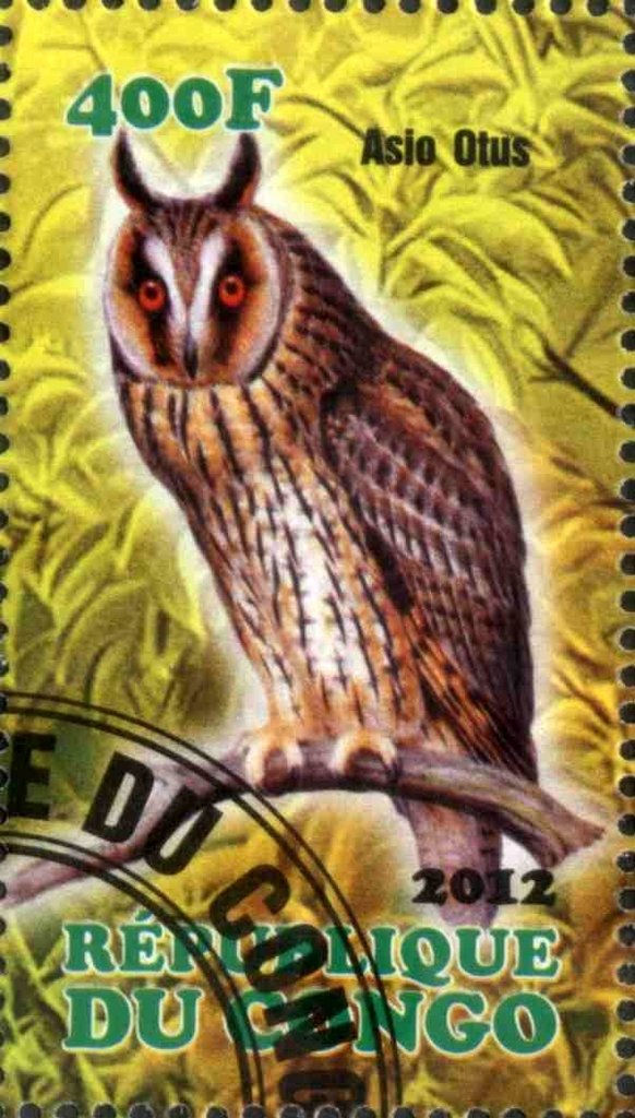 Asio Otus