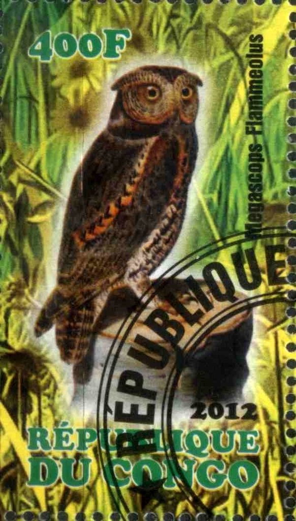 Megascops Flammeolus