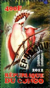 Stamp, Lophochron Leadbeator, Cinderellas,  , Birds