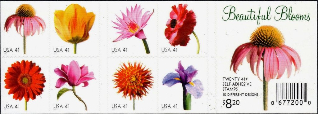 Beautiful Blooms