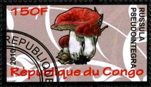 Stamp, Russula pseudointegra, Cinderellas,  , Mushrooms