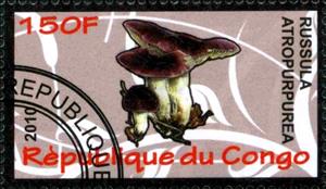 Stamp, Russula atropurpurea, Cinderellas,  , Mushrooms