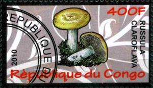 Stamp, Russula claroflava, Cinderellas,  , Mushrooms
