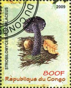 Stamp, Strobilomyces Stroblaceus, Cinderellas,  , Mushrooms