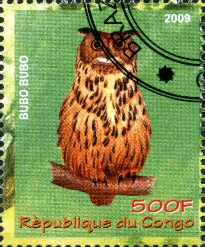 Bubo Bubo